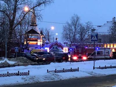 СМИ: Напавший на православную гимназию в Серпухове скончался
