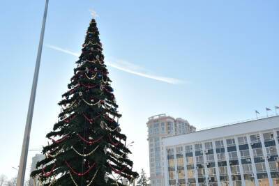 В центре Краснодара установили 22-метровую главную елку