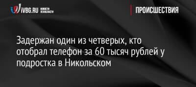 Задержан один из четверых, кто отобрал телефон за 60 тысяч рублей у подростка в Никольском