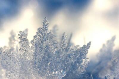 14 декабря в Пензенской области похолодает до -10 градусов