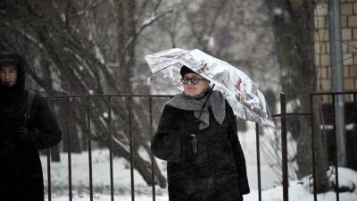 МЧС предупредило жителей Московской области о снегопаде и тумане до утра 14 декабря