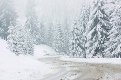 Снегопады будут идти в Ленобласти до 15 декабря