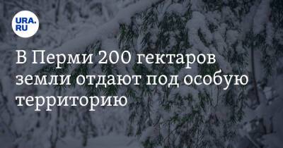 В Перми 200 гектаров земли отдают под особую территорию