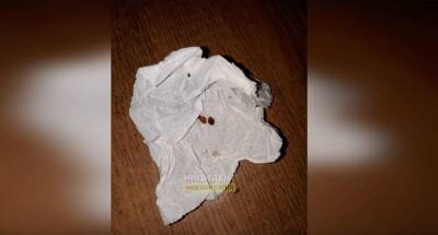 Пациент больницы в Нижнем Тагиле пожаловался на клопов и тараканов в палатах