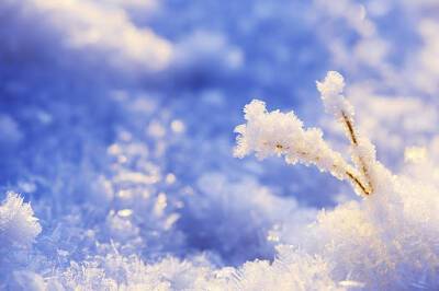 Жителей Ленобласти ожидают метель и снег 14 декабря