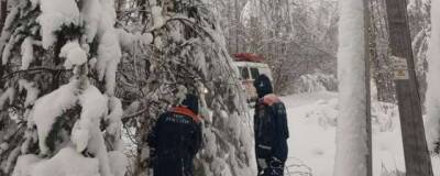 В Новгородской области из-за непогоды остались без света почти 12 тысяч человек