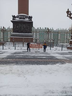 В центре Петербурга задержали пикетчиков с плакатом «Свободу Навальному»