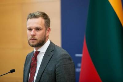 Глава МИД Литвы отмечает, что его решение уйти в отставку - серьезное
