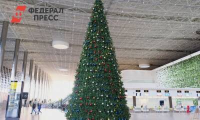 Альпинисты установили в аэропорту Симферополя самую высокую елку в Крыму