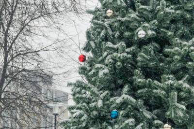 В ночь на 14 декабря в Рязанской области ожидается снегопад