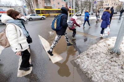 Гололед и мокрый снег прогнозируют псковские синоптики 14 декабря