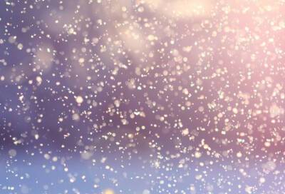 Во вторник в Ленобласти ожидается мокрый снег и гололедица
