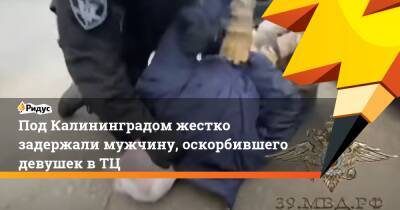 Под Калининградом жестко задержали мужчину, оскорбившего девушек вТЦ