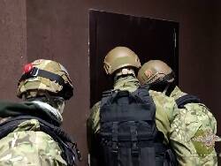 Силовики задержали 106 украинских неонацистов в 37 регионах РФ