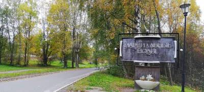 Покупку правительством Карелии контрольного пакета акций санатория «Марциальные воды» оплатит бюджет