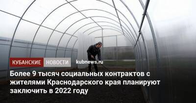 Более 9 тысяч социальных контрактов с жителями Краснодарского края планируют заключить в 2022 году