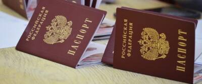 Житель Липецкой области «сварил» паспорт жены и угрожал зарубить топором