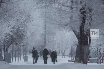 В Татарстане на неделе ожидается слабый мороз
