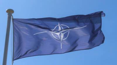 В Германии выступили за идею проведения Совета Россия — НАТО