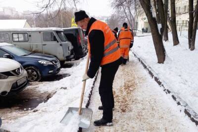 В Серпухове обработали тротуары и удалили аварийные деревья