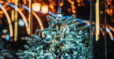 ФОТО. Самая маленькая в Балтии? В Клайпеде зажглись огни на рождественской елочке, высотой всего 55 сантиметров