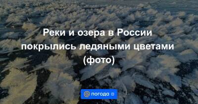 Реки и озера в России покрылись ледяными цветами (фото)