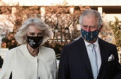 Принц Чарльз и его супруга Камилла предстали в защитных масках на новой рождественской открытке