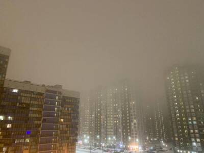 Утром снег, вечером туман: показываем, как Петербург «слепнет»