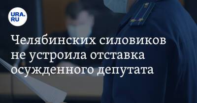 Челябинских силовиков не устроила отставка осужденного депутата