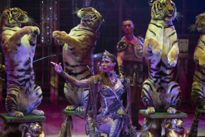 «Королевский цирк» Гии Эрадзе привезет в Воронеж символ наступающего года