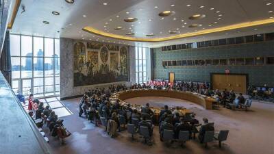 Небензя счел неприемлемым проект резолюции СБ ООН по климату и безопасности