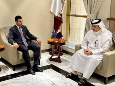 Азербайджан и Катар договорились расширить связи между предпринимателями двух стран (ФОТО)