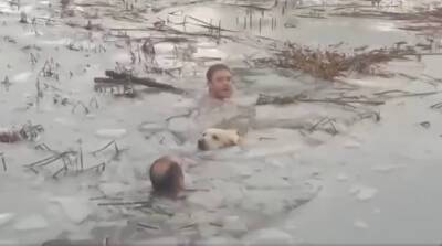 Спасатели бросились в ледяную воду, чтобы спасти собаку (Видео)