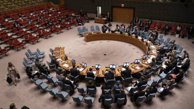 Россия наложила вето на проект резолюции Совбеза ООН по климату и безопасности