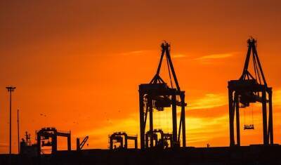 ОПЕК не изменила прогнозы по росту спроса на нефть на ближайшие два года