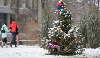 Россияне поделились любимыми традициями на Новый год