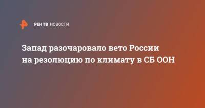 Запад разочаровало вето России на резолюцию по климату в СБ ООН