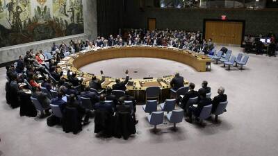Страны Запада разочаровало вето России на резолюцию по климату в СБ ООН