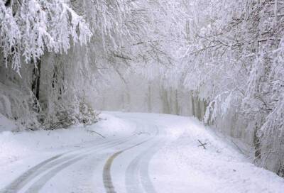 МЧС: во вторник в Ленобласти ожидается мокрый снег и сильный ветер