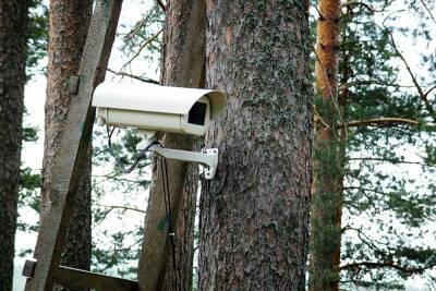 Во Владимирские леса добавят видеокамер