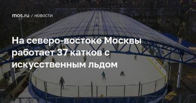 На северо-востоке Москвы работает 37 катков с искусственным льдом