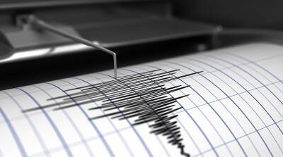 У берегов Индонезии произошло землетрясение магнитудой 7,7