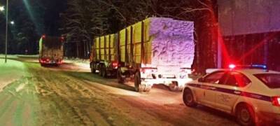 Лесовоз под управлением пьяного водителя был остановлен на оживленной трассе в Карелии (ФОТО)