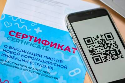 В Якутии депутаты поддержали законопроект о QR-кодах в общественных местах