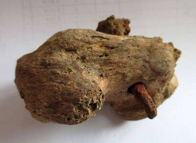 В Британии впервые обнаружен скелет со следами распятия