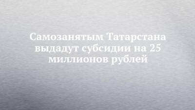 Самозанятым Татарстана выдадут субсидии на 25 миллионов рублей