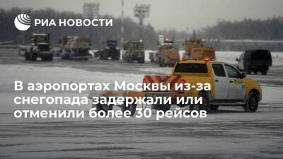 В трех московских аэропортах из-за снегопада задержали или отменили более 30 рейсов
