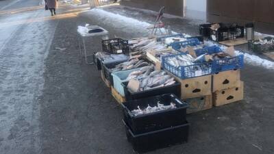 За неделю на несанкционированных торговых точках в Тюмени изъято 53 кг рыбы