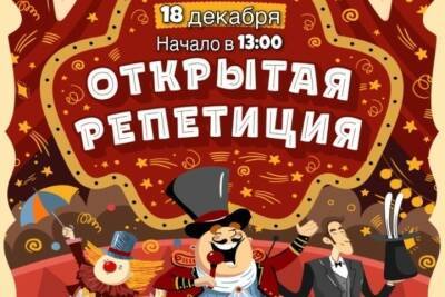 Ивановцы могут бесплатно посмотреть репетицию новогоднего представления в цирке