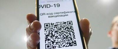 Депутаты Бурятии выразили поддержку законопроекту о QR-кодах в общественных местах